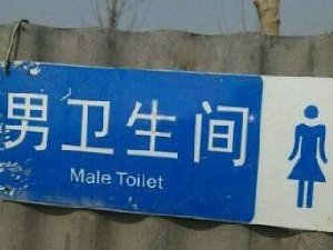 这个WC到底是男女啊？