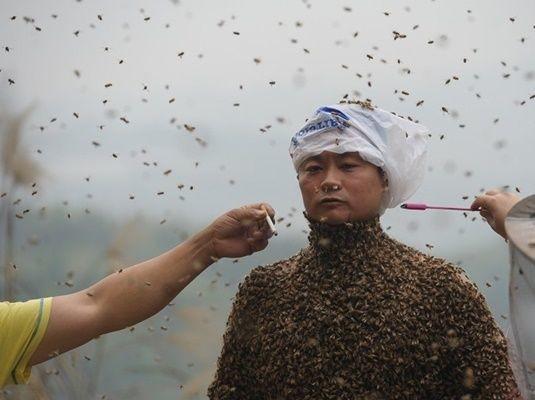 蜜蜂牌衣服 你们敢穿吗