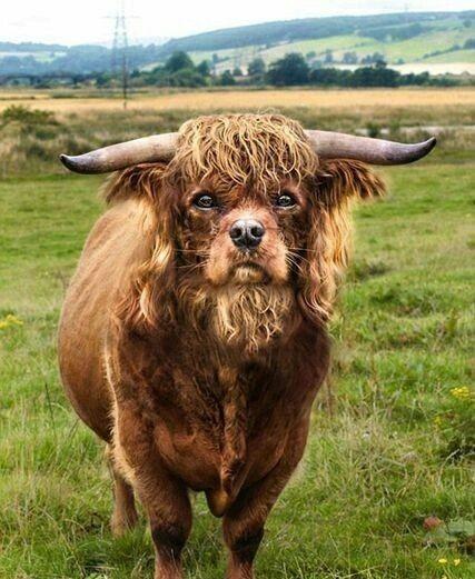 哥帅不，求包养