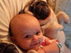 熊孩子的难兄难弟