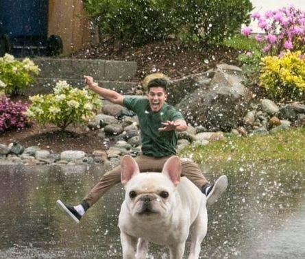 错位图片 看完的座驾霸气不