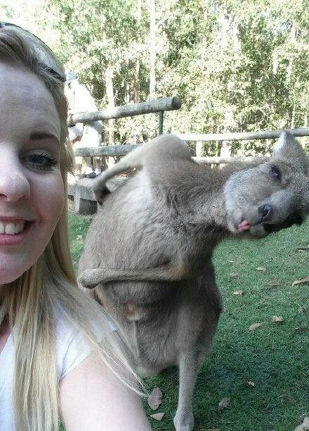 抢镜就这么容易