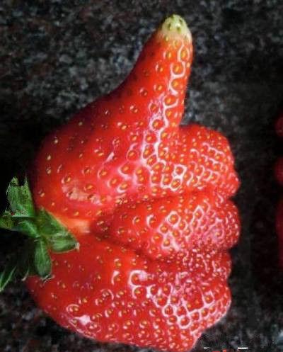 草莓自带点赞功能了