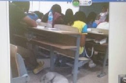 看啊，上课的效果