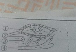 总感觉这个图好逗