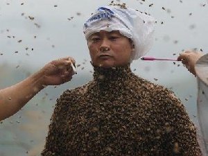 蜜蜂牌衣服 你们敢穿吗