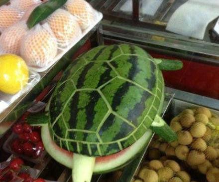 可爱西瓜图片 竟然成了小乌龟