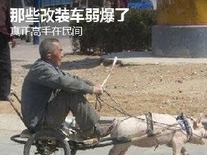 高手在民间 宇宙神车佩服了
