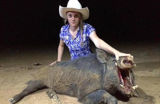 美女与野兽真实版