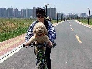 带你装B带你飞 好欢乐啊