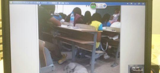 看啊，上课的效果