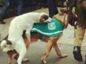 这算不算袭警。