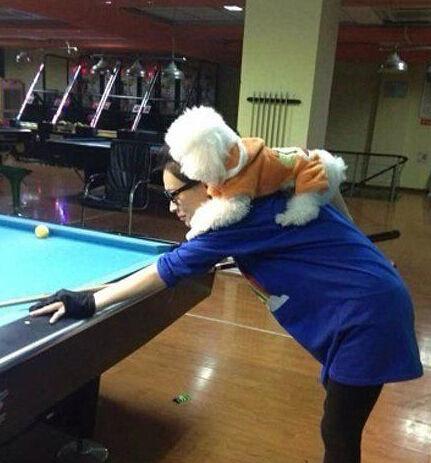 就这样，瞄准，打！