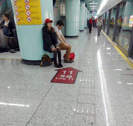 你俩是逗比吗 坐的厉害