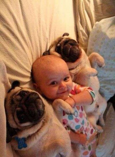 熊孩子的难兄难弟