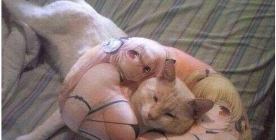 幸福来得太突然！