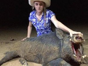 美女与野兽真实版