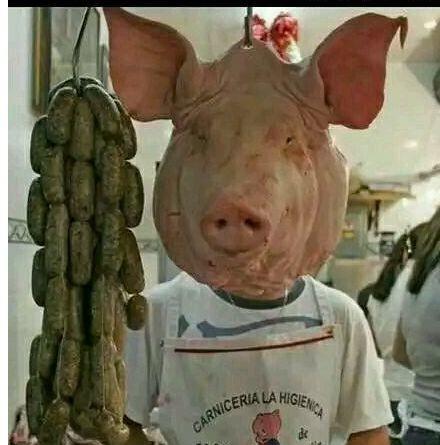 错位搞笑图 这猪头满分了