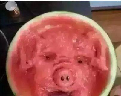 西瓜弄成这样 我也是佩服竟然是猪头