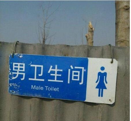 这个WC到底是男女啊？
