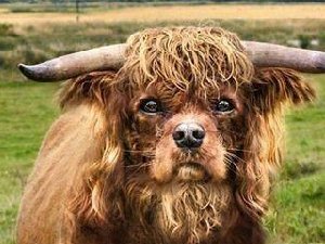 哥帅不，求包养