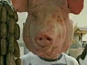 错位搞笑图 这猪头满分了