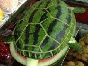 可爱西瓜图片 竟然成了小乌龟
