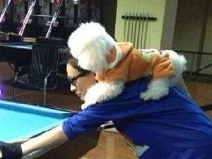 就这样，瞄准，打！