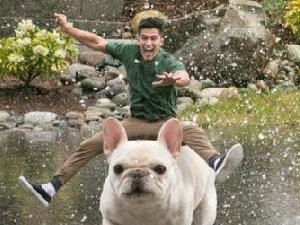 错位图片 看完的座驾霸气不